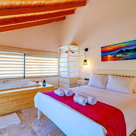 Bezirgan Village 2 Bedroom 别墅 *